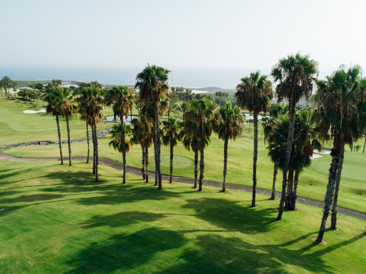 Abama Resort Information Library