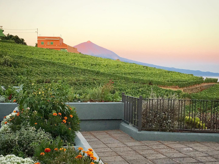 Bodegas Monje, Tenerife, Canary Islands